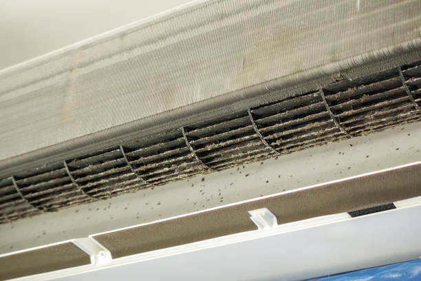 Best Air Duct Cleaning Company Near Me  in Wright Patterson Af, OH